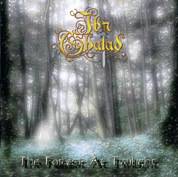 The Forest at Twilight